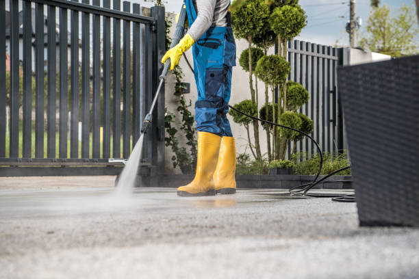 Best Animal Enclosure Cleaning  in Oak Point, TX